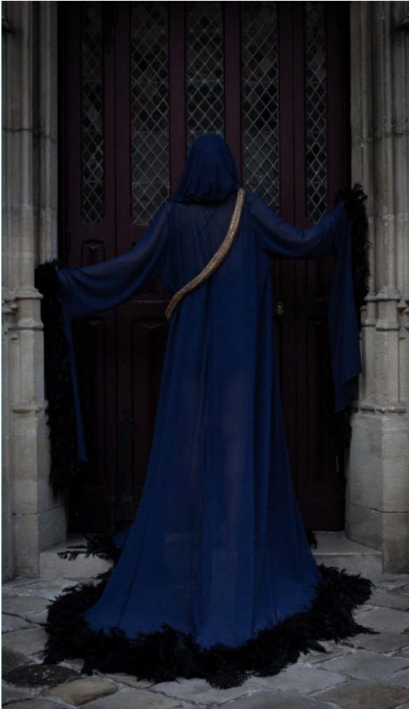 Silhouette de dos, capuche et plumes