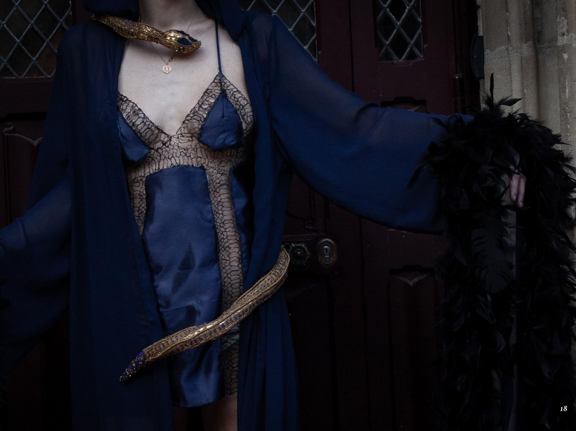 Détail nuisette, dentelle peau de serpent