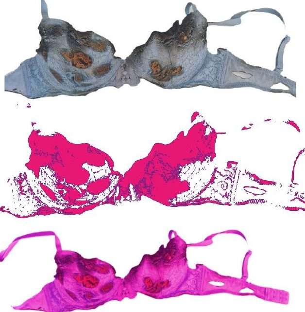 Sérigraphie du soutien-gorge brûlé